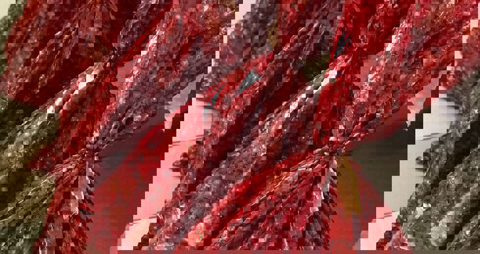 crasanhembi.jpeg