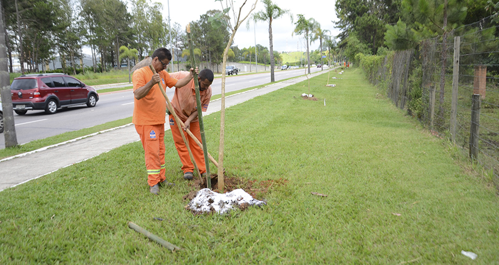 plantio-de-arvores-via-norte-20-12-2019-lucas-cabral-21.jpg