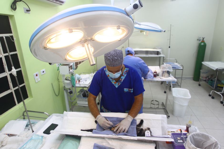 cv__6748_claudio_vieira.jpg