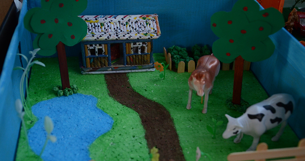 esposicao-maquetes-escola-municipal-aurea-cantinho-27-06-2019-lucas-cabral-17.jpg