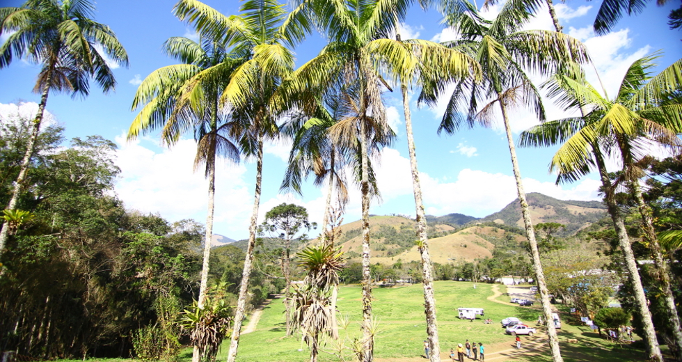 cv__3762-claudio_vieira.jpg