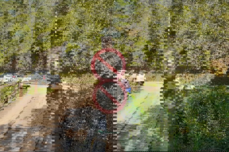 ponte-horto-florestal.jpeg