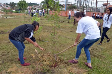 Plantio de Pomares nativos no Parque Interlagos  20/03/2019