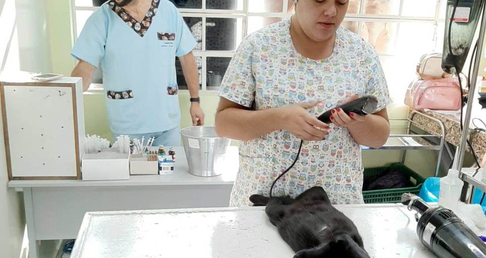 pet-feliz-15.jpg