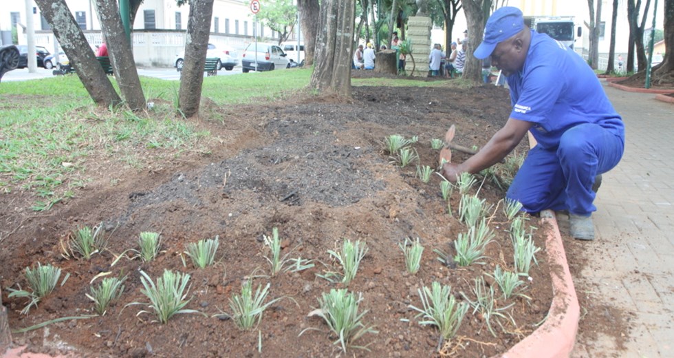 Revitalização e Plantio de Flores na praça de santana