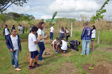 Plantio de Árvores  no Jequitibá Rosa do Eugênio de Melo 10 04 2019