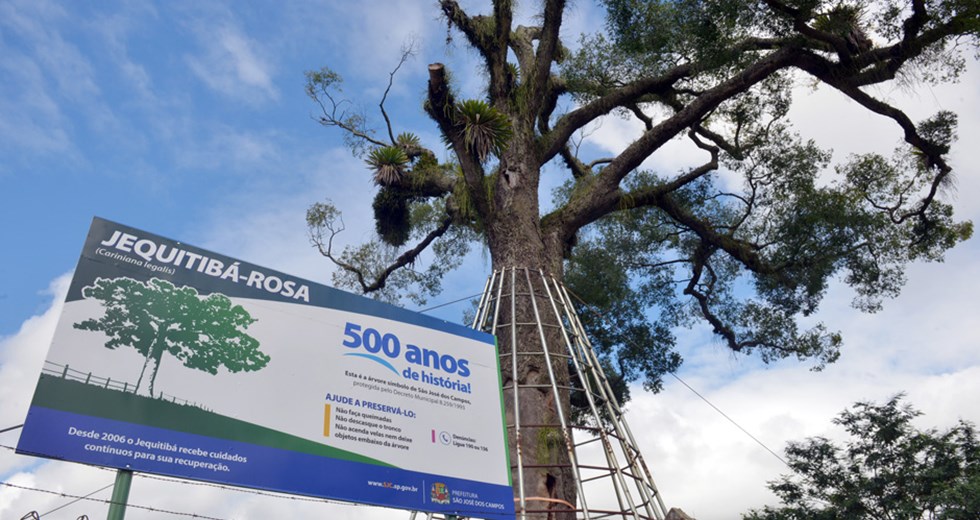 Plantio de Árvores  no Jequitibá Rosa do Eugênio de Melo 10 04 2019