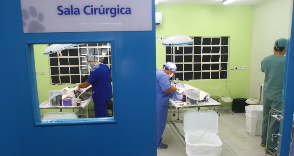 cv__6792_claudio_vieira.jpg