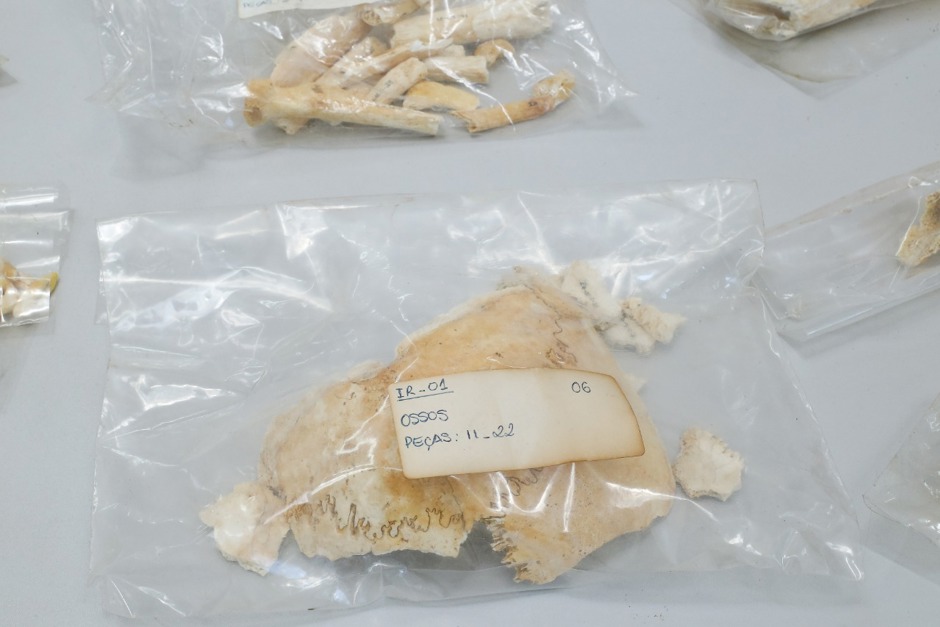 ossada-laboratorio-tecnico-de-arqueologia.jpg