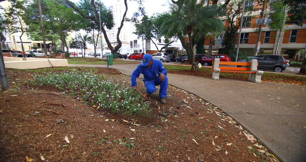 cv__2496-claudio_vieira.jpg