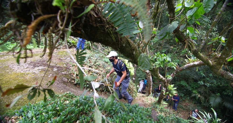 cv__6529_claudio_vieira.jpg