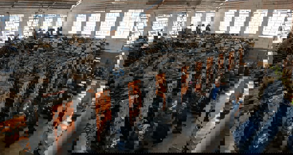 detran.jpeg