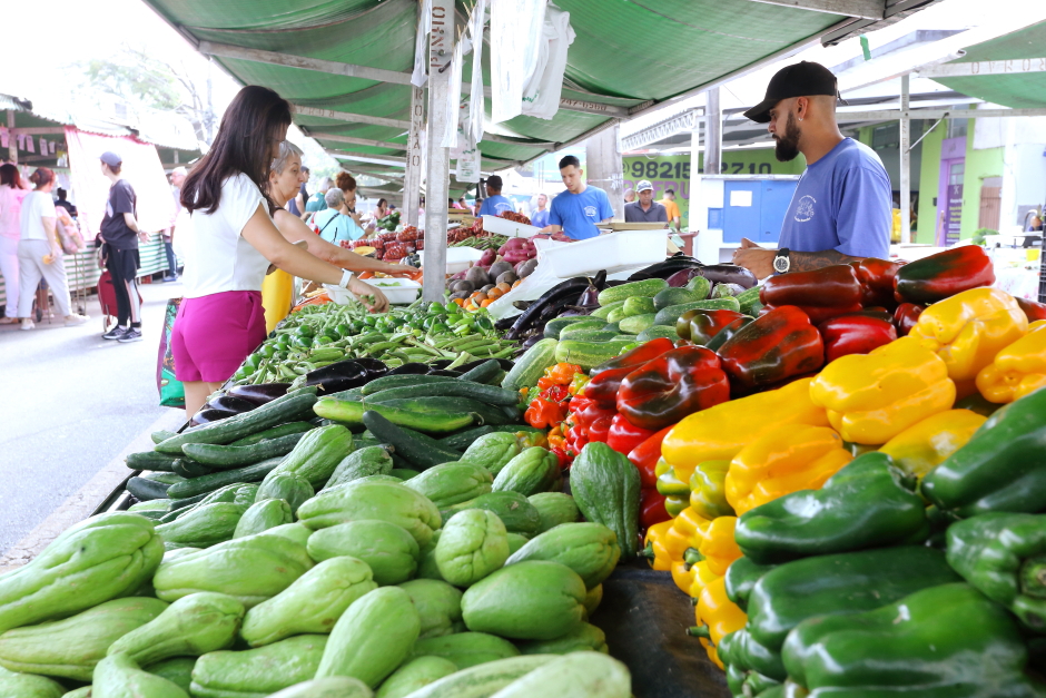Foto: Divulgação img_5893.jpg