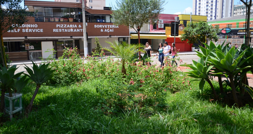img-23-01-2019-praca-monsenhor-ascanio-brandao-lc-04.jpg