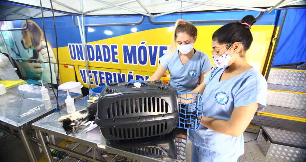 cv__0071_claudio_vieira.jpg