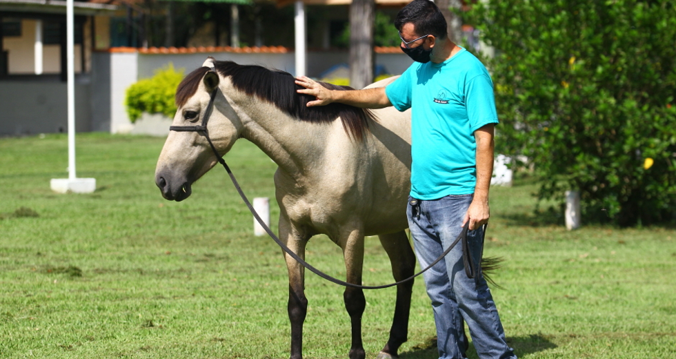cv__8914_claudio_vieira.jpg