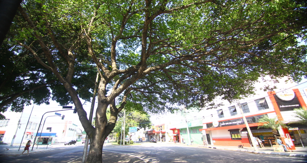 cv__9217_claudio_vieira.jpg