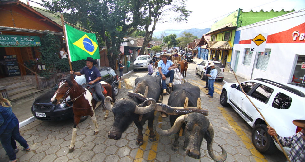cv__4770-claudio_vieira.jpg