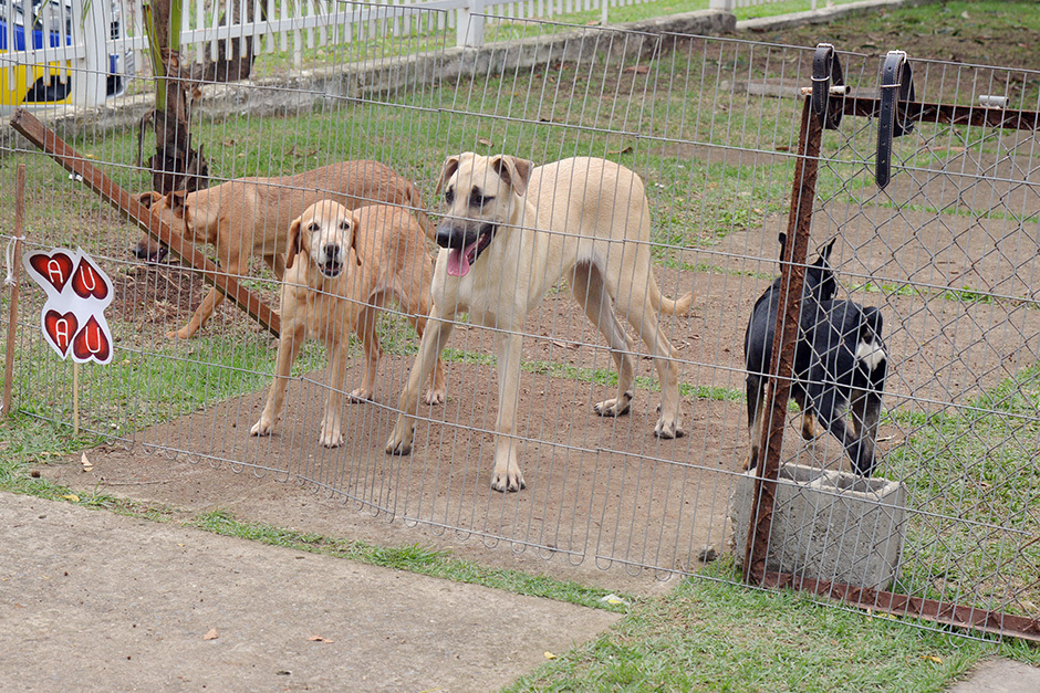 Foto: Divulgação img_2163.jpg