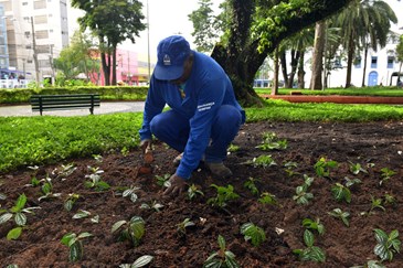 Jardinagem na Praça Afonso Pena  10 01 2018