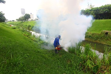Fumacê no Córrego Vidoca na região do Colinas