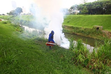 Fumacê no Córrego Vidoca na região do Colinas