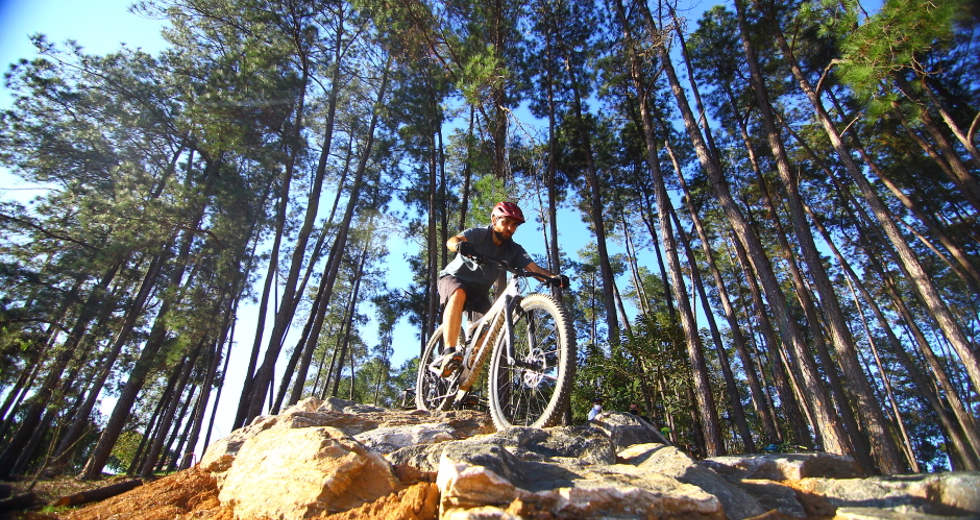 cv__0060_claudio_vieira.jpg