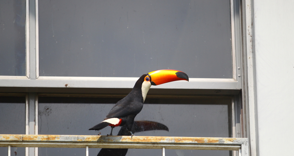 cv__4139_claudio_vieira.jpg