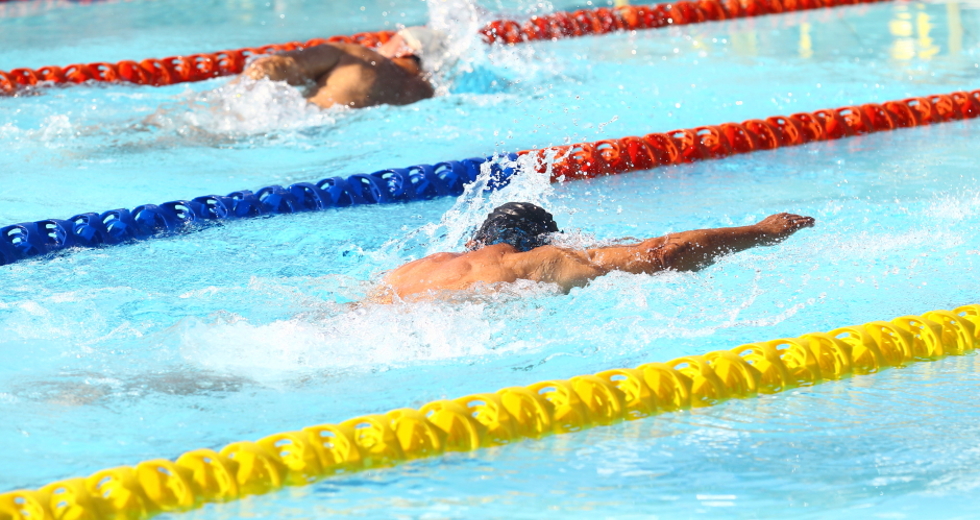 cv__8242-claudio_vieira.jpg