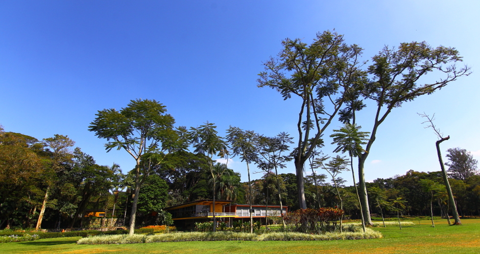 cv__7910-claudio_vieira.jpg