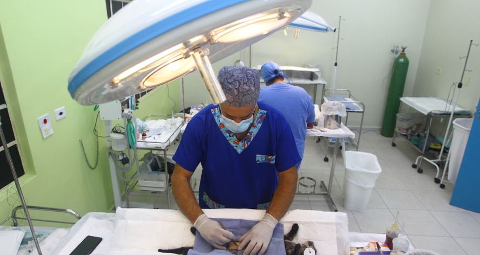 cv__6744_claudio_vieira.jpg