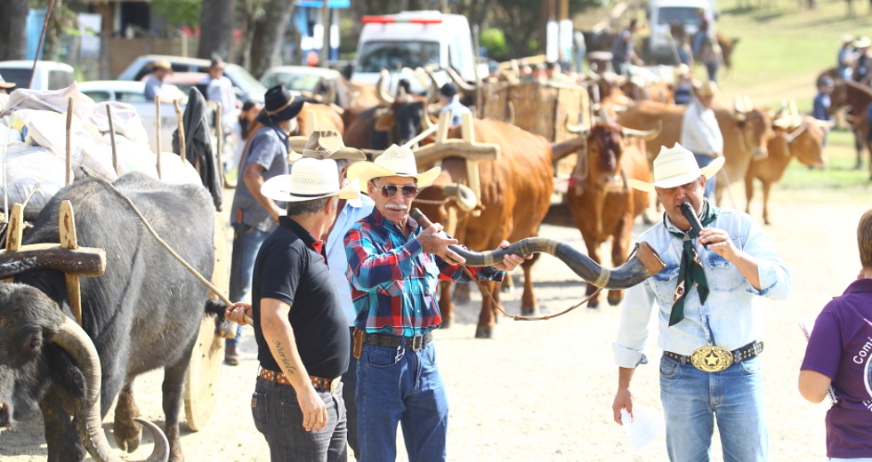 cv__4642-claudio_vieira.jpg