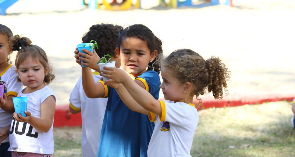img_8321_claudio_vieira.jpg