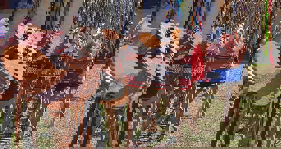 Festa do Tropeiro - Abertura