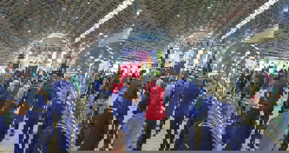 491495347_18347690635158927_2744982196781132314_n.jpg
