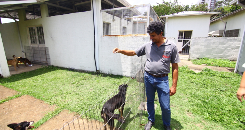cv__0258-claudio_vieira.jpg