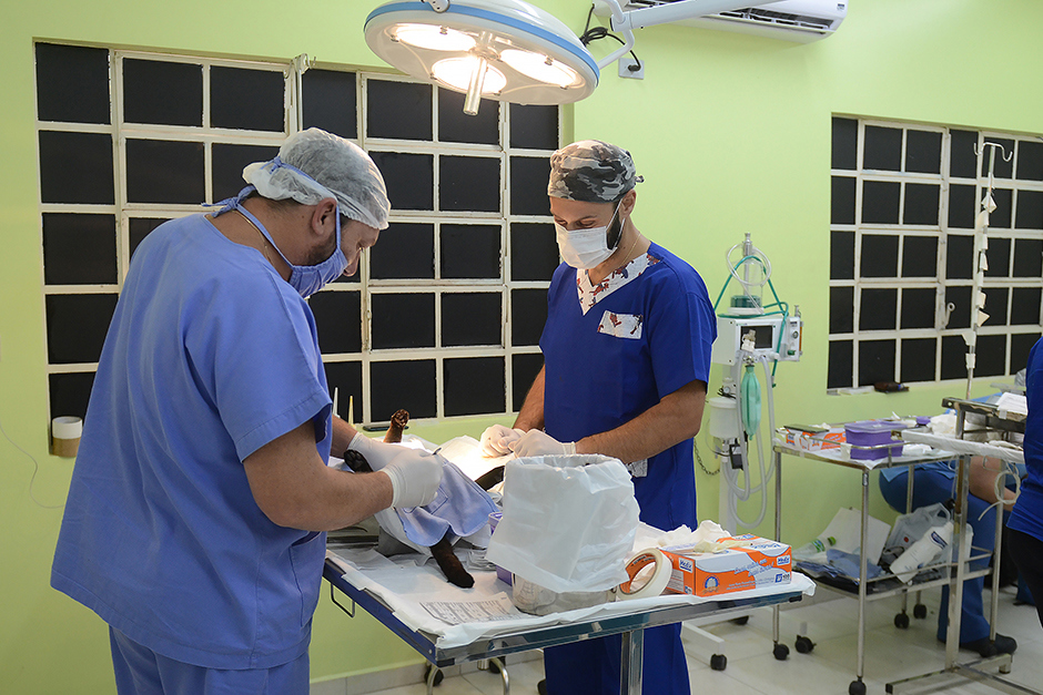 castracoes-quinta-fase-meu-pet-feliz-13-09-2019-lucas-cabral-45.jpg
