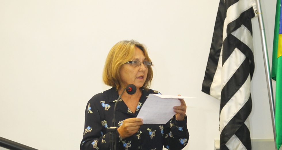 audie-ncia_pu-blica_ldo-28-claudio_vieira.jpg