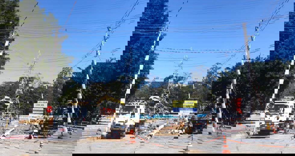 lineu5.jpeg