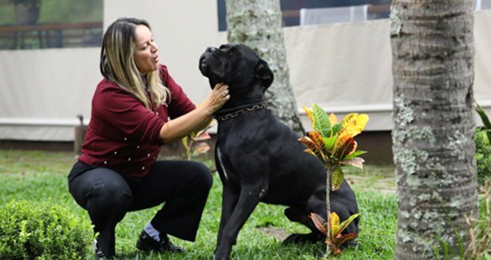 40ª fase do Meu Pet Feliz