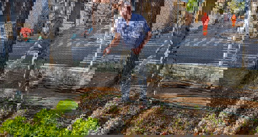 horta-91.jpeg