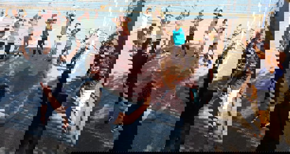 casadoidoso2.jpeg
