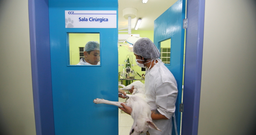 cv__0898-claudio_vieira.jpg