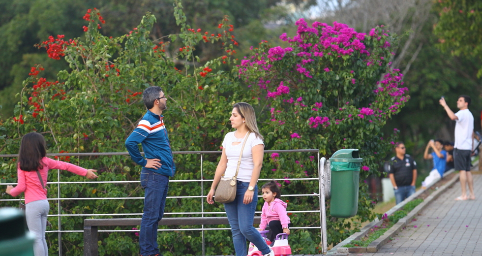 cv__1050-claudio_vieira.jpg