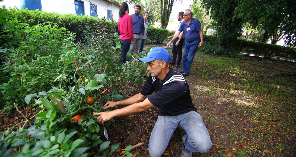 cv__9976_claudio_vieira.jpg
