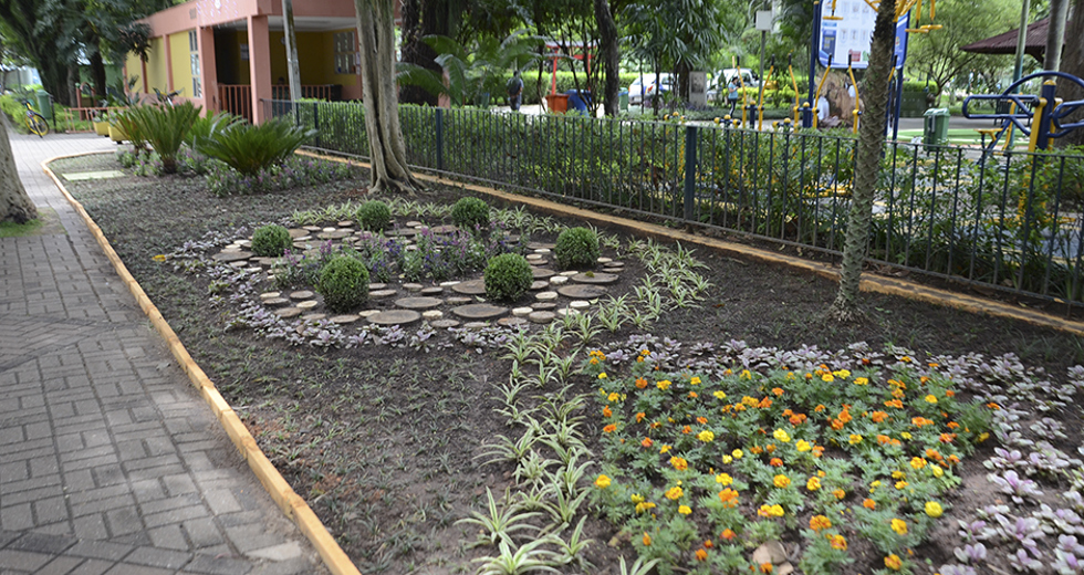 paisagismo-parque-santos-dumont-12-12-2019-lucas-cabral-16.jpg