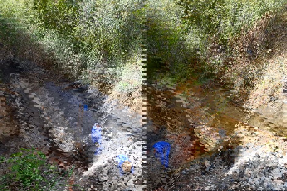 Foto: Divulgação itapua1.jpeg