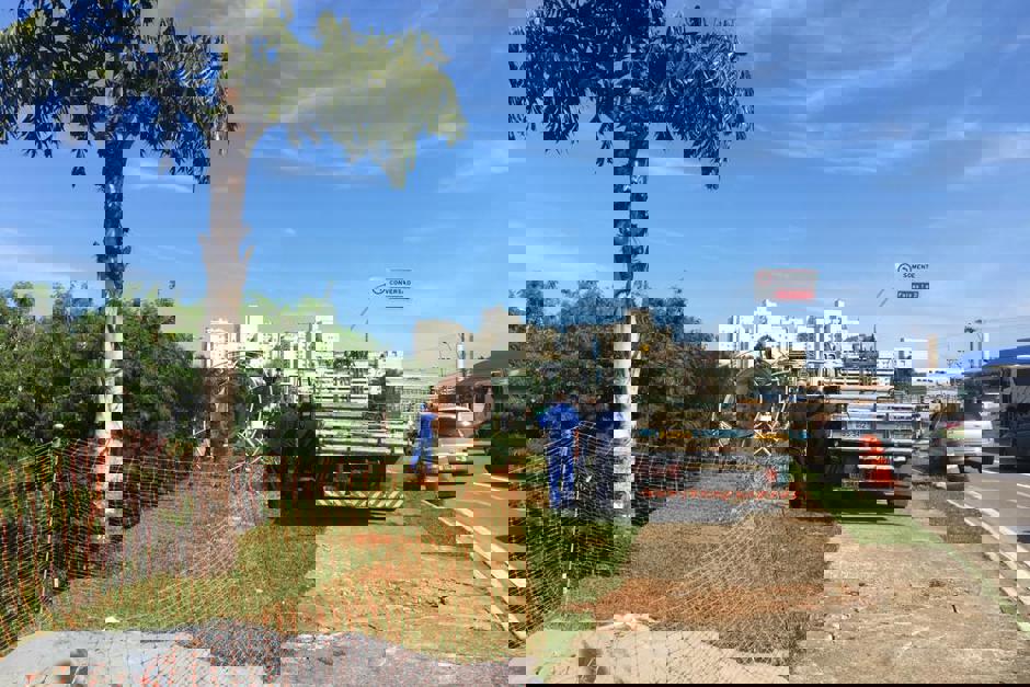 tapume.jpeg