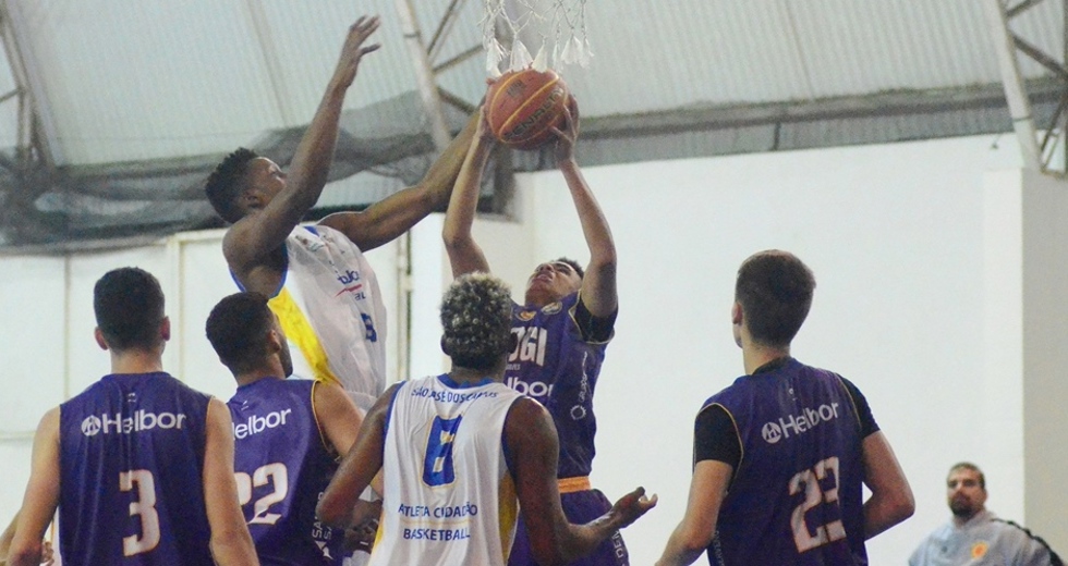 tmf_2295.jpg