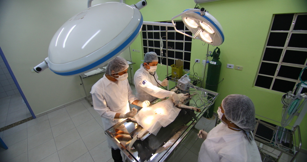 cv__0942-claudio_vieira.jpg